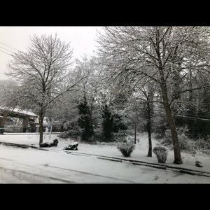 Meet your Posher, Kidist